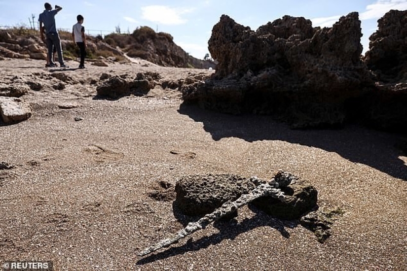 Off the coast of Israel, a diver discovered a 900-year-old crusader sword