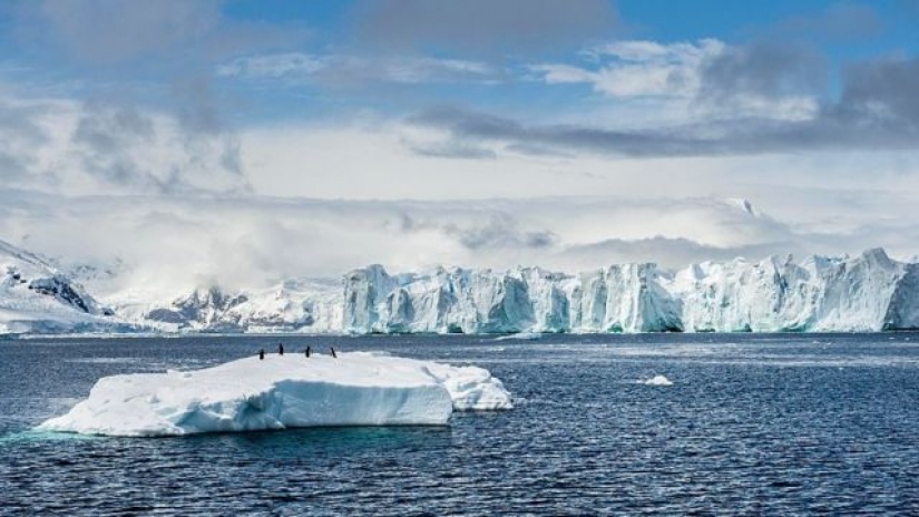 Olvida lo que te enseñaron en la escuela: los geógrafos han reconocido la existencia de otro océano