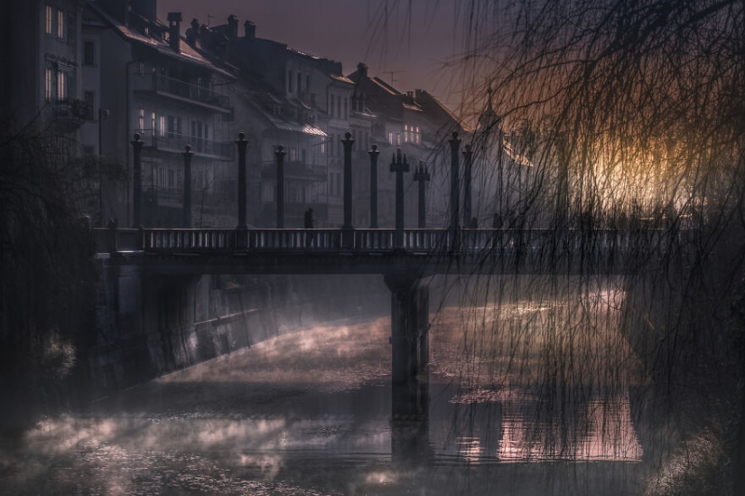 Our World is Beautiful: Best Photos from the 2021 CEWE Photo Award