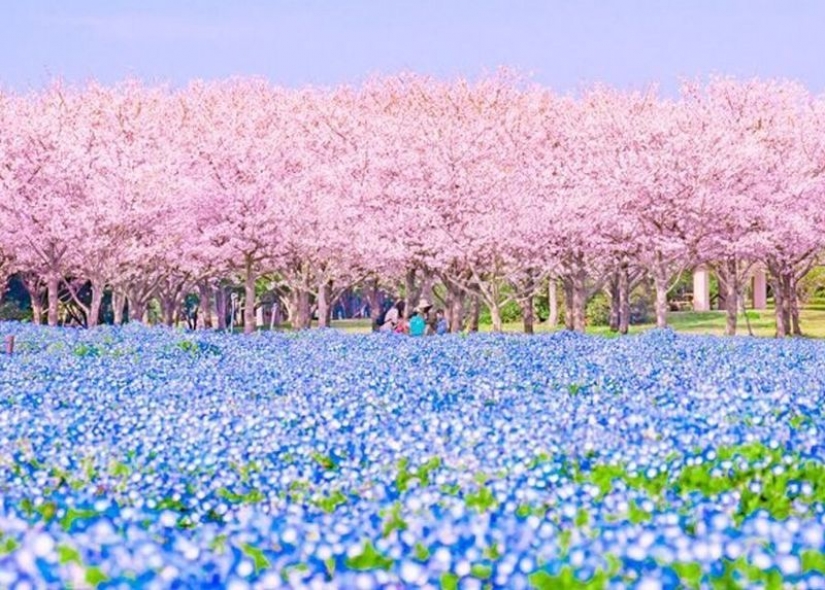 Paisajes increíbles de Japón