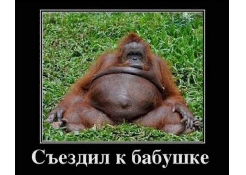 Pan de Jengibre y Pan de Jengibre: Cómo los restaurantes nos hacen gastar más