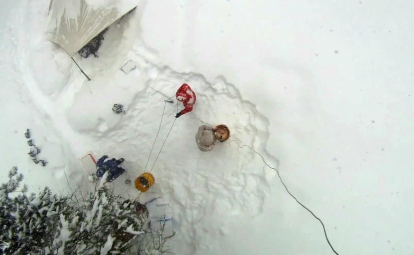 Para grabar este árbol en su totalidad, los fotógrafos tomaron 32 días