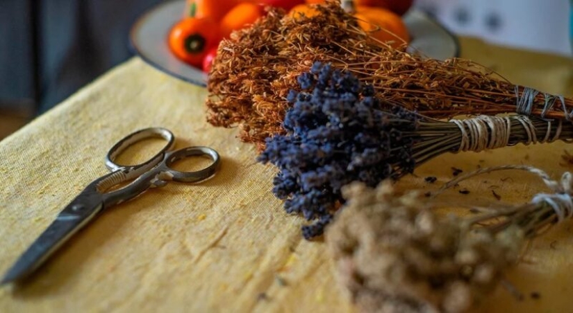 Para la belleza y la salud: 5 plantas que deben cosecharse y secarse antes de que finalice el verano