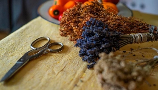 Para la belleza y la salud: 5 plantas que deben cosecharse y secarse antes de que finalice el verano Para la belleza y la salud: 5 plantas que deben cosecharse y secarse antes de que finalice el verano