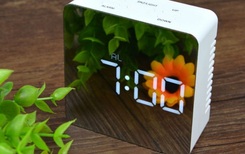 Para todos los gustos: 10 cosas inusuales de AliExpress que querrás comprar