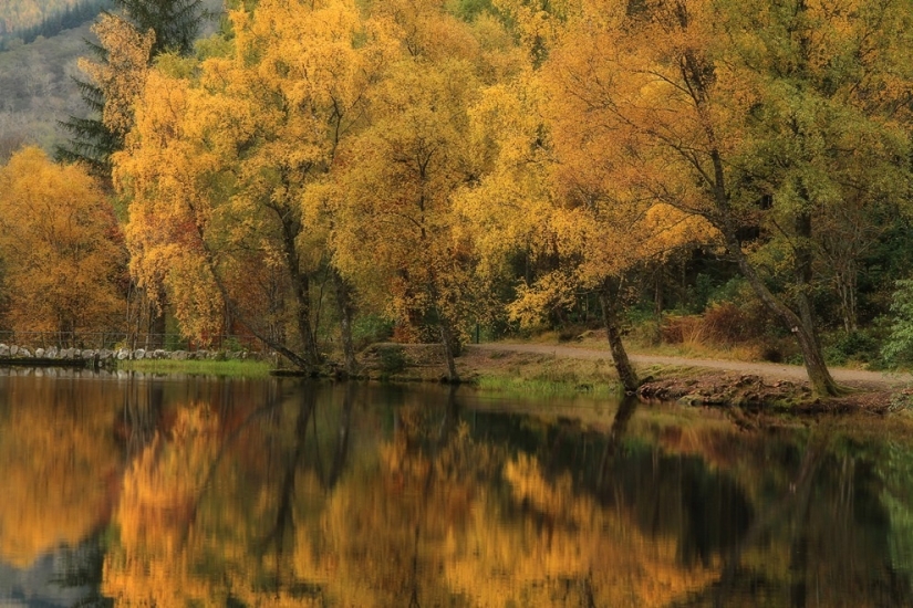 Parallel worlds Roger Merrifield Parallel worlds Roger Merrifield