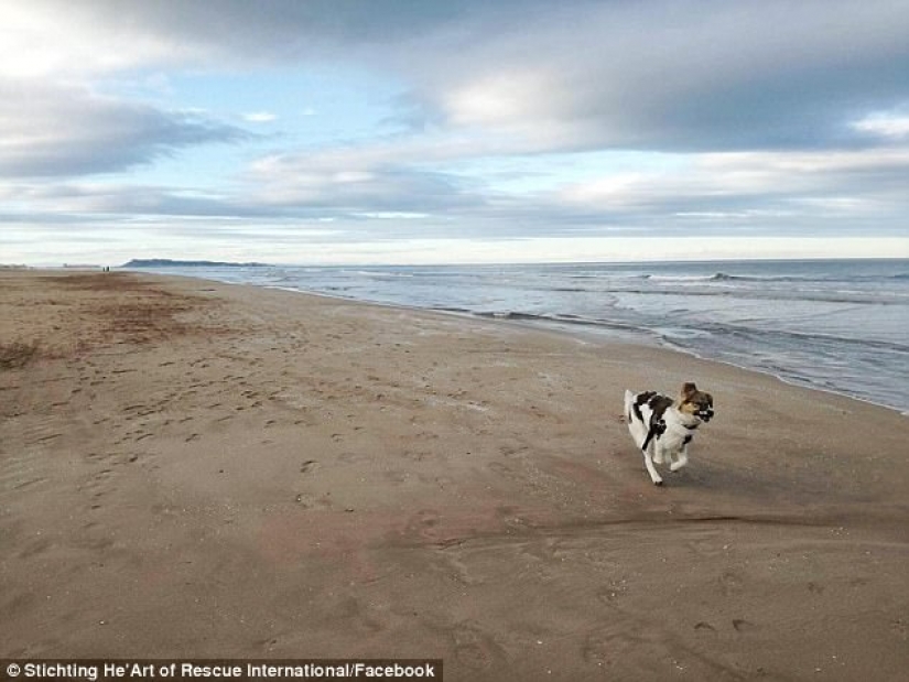 Pascal's incredible transformation Pascal's incredible transformation