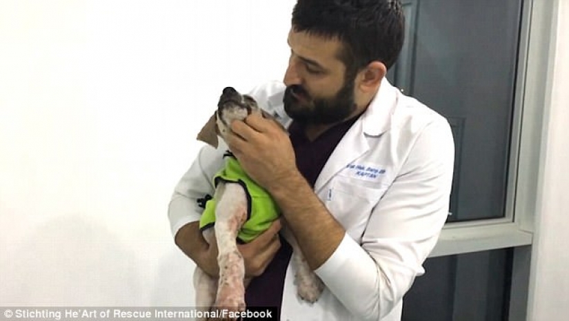 Pascal's incredible transformation Pascal's incredible transformation