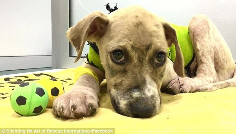 Pascal's incredible transformation Pascal's incredible transformation