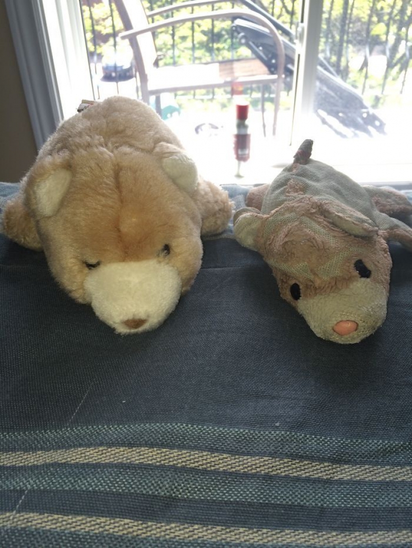 Past vs present: the same toy with a difference in age more than 25 years