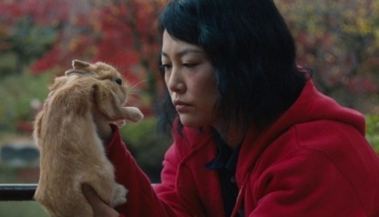 Películas geniales que no son convencionales Películas geniales que no son convencionales