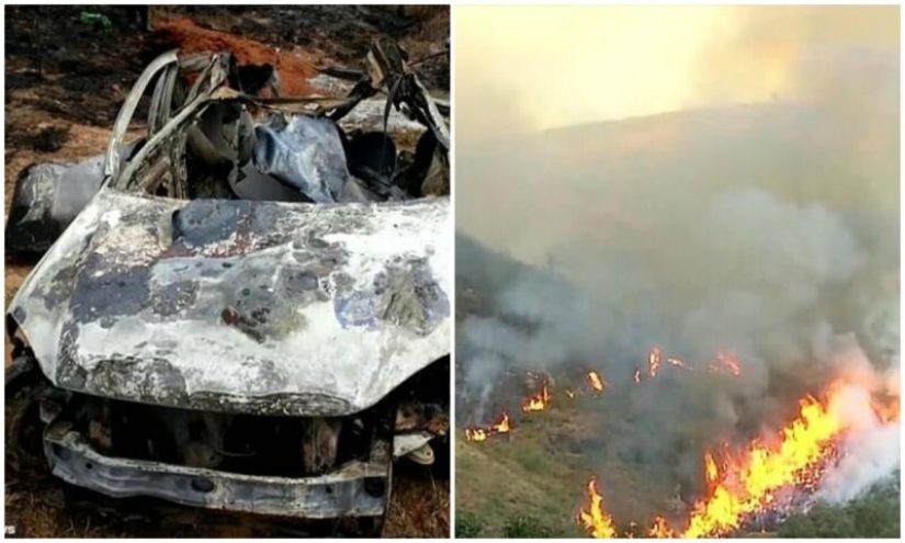 Pensionista brasileño quemó 700 hectáreas de bosque protegido y mató a cientos de animales debido a una estafa de seguros