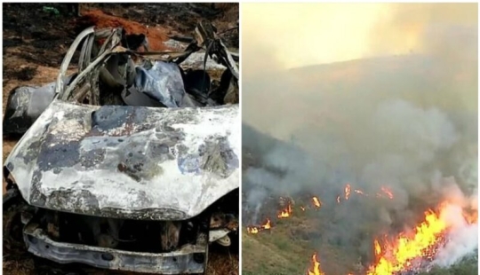 Pensionista brasileño quemó 700 hectáreas de bosque protegido y mató a cientos de animales debido a una estafa de seguros Pensionista brasileño quemó 700 hectáreas de bosque protegido y mató a cientos de animales debido a una estafa de seguros