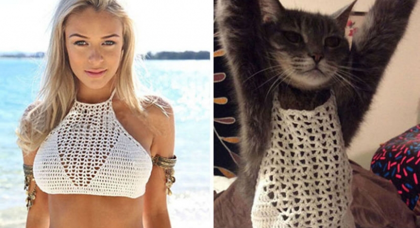 People who bitterly regretted shopping on the Internet