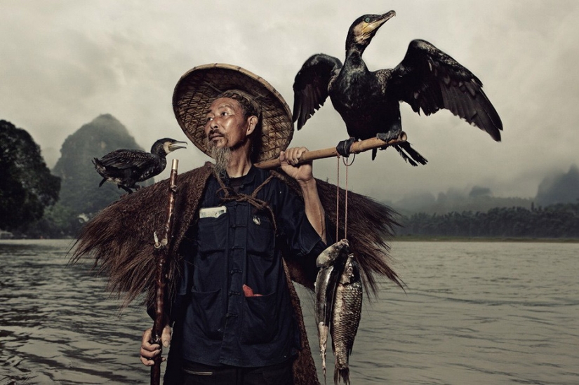 Pesca tradicional china con cormoranes