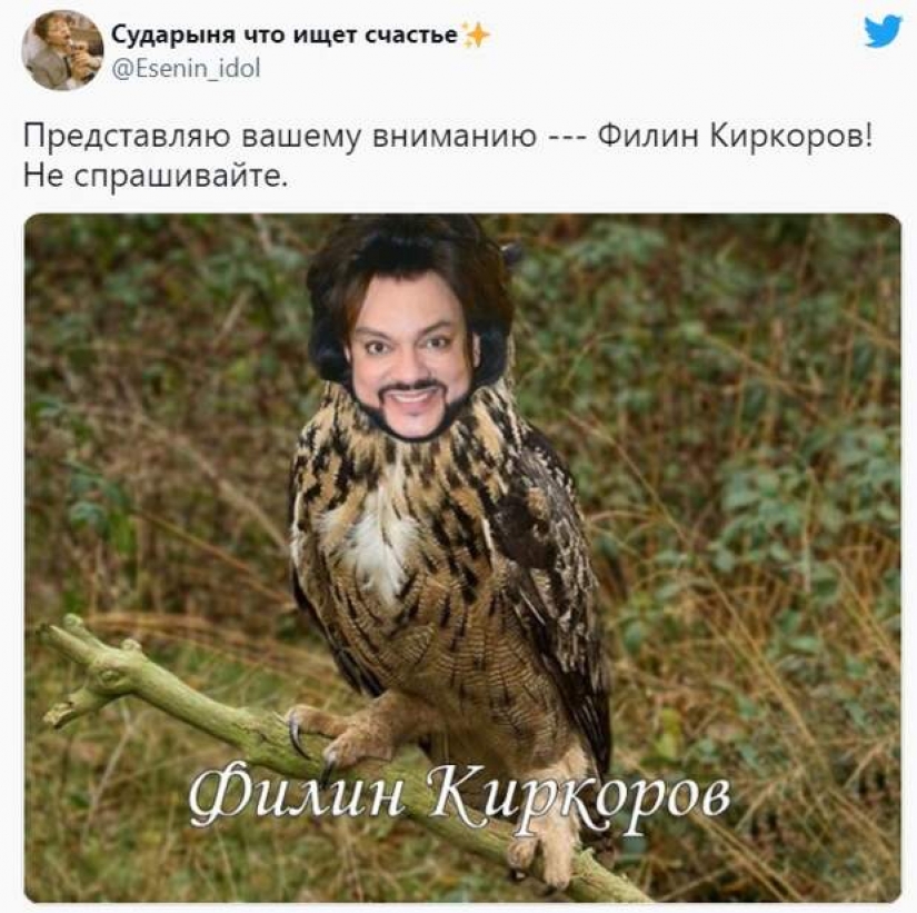 Philip Kirkorov in the image of a Fiery Firebird becomes a meme