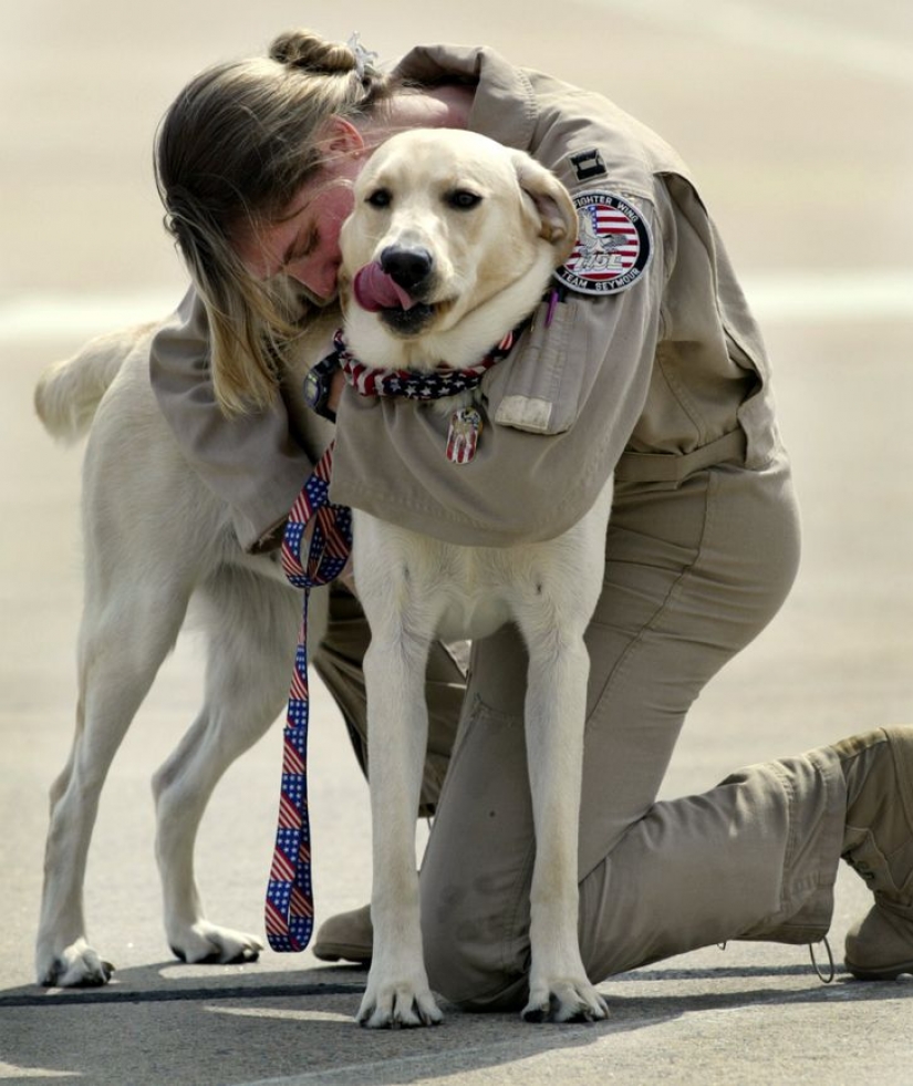 Photographer captures the beauty of Japan he has always dreamed of