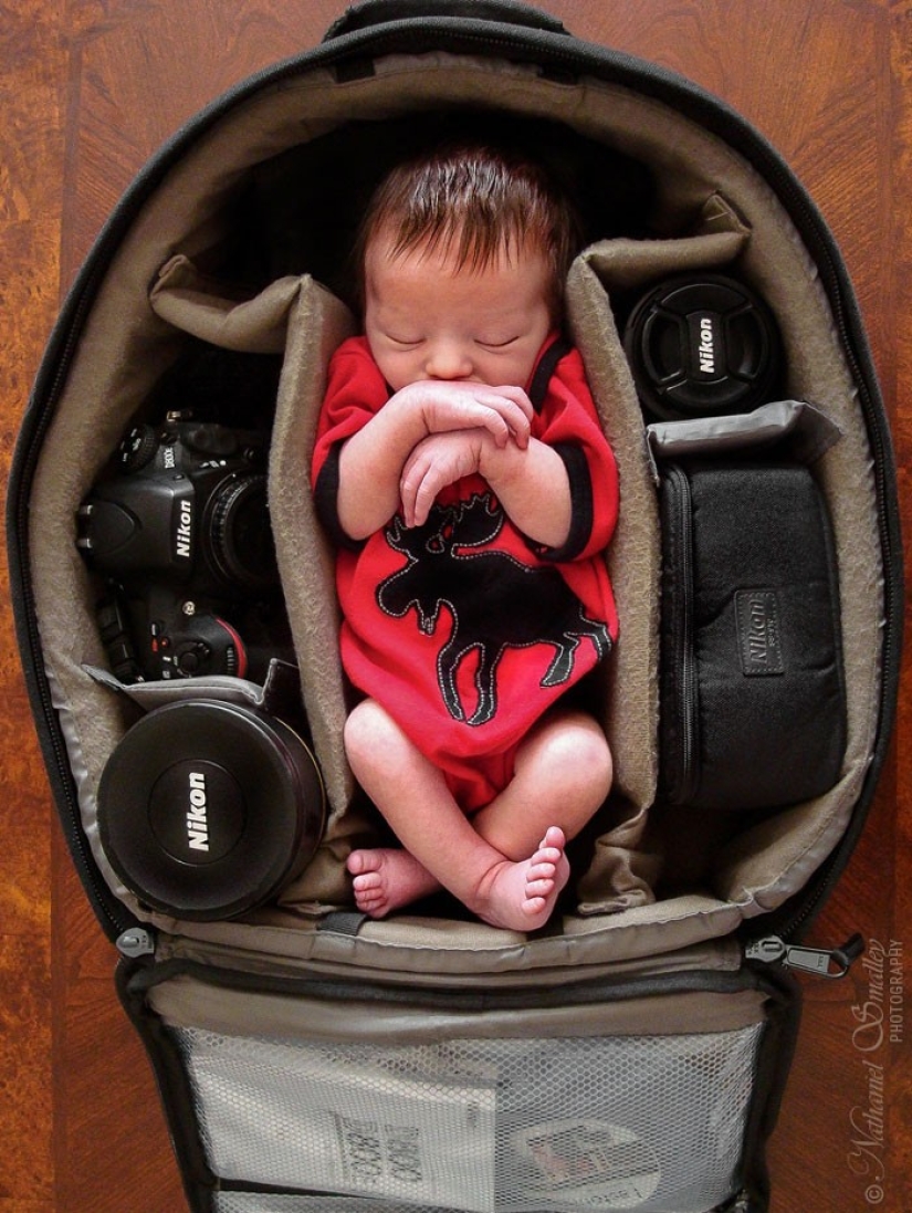 Photographers take pictures of their tiny children in photo bags