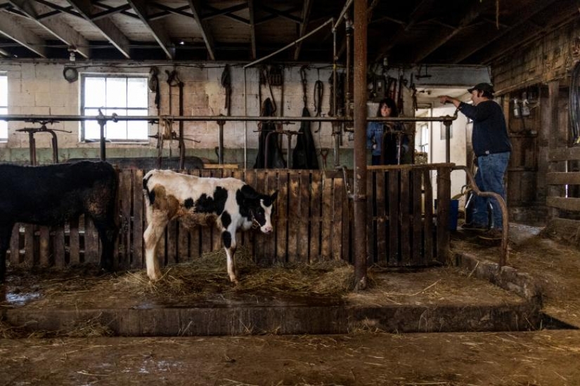 Photos of the Year: Animals