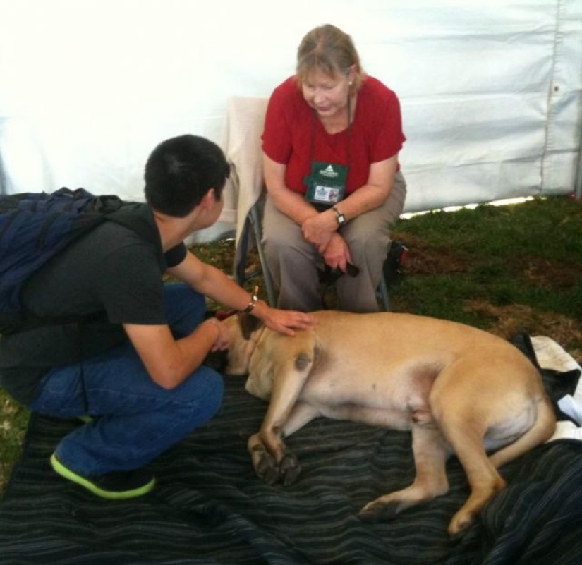 10 photos that prove that fluffy friends can improve any miserable day 10 photos that prove that fluffy friends can improve any miserable day