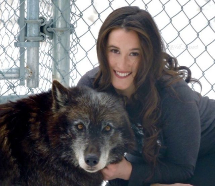 10 photos that prove that fluffy friends can improve any miserable day 10 photos that prove that fluffy friends can improve any miserable day