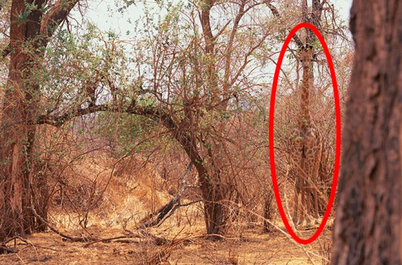 Photos that will bring you to tears if you look closely