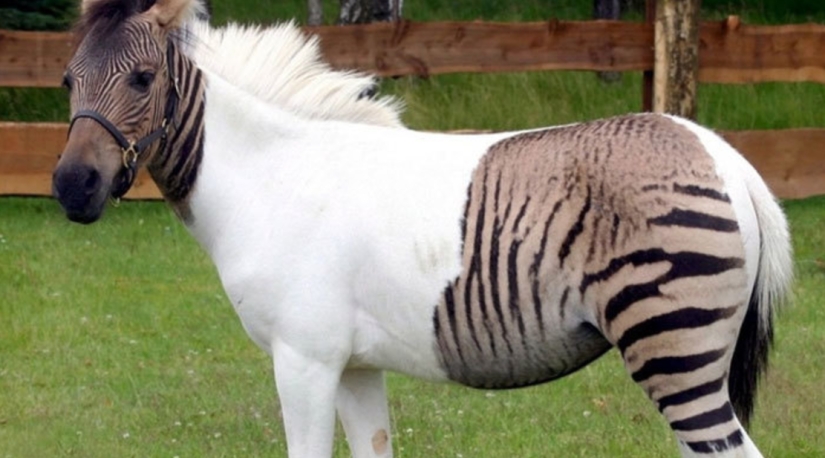 Photos that will drive your mind beyond reason Photos that will drive your mind beyond reason