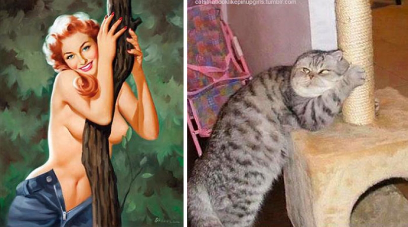 Pin-up Girls vs gatos en la lucha por tu amor Pin-up Girls vs gatos en la lucha por tu amor