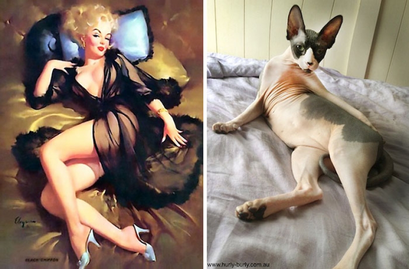 Pin-up Girls vs gatos en la lucha por tu amor Pin-up Girls vs gatos en la lucha por tu amor