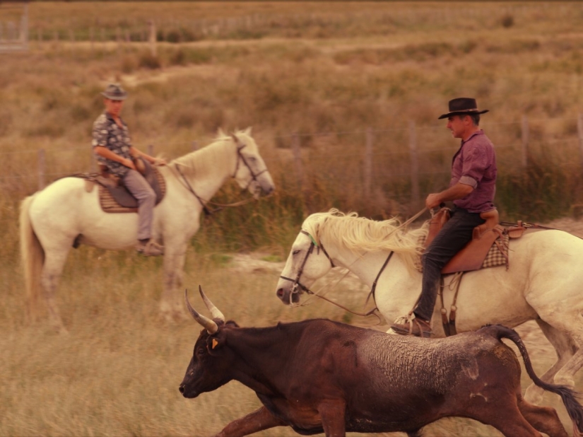 Places to visit in France