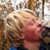 Playing with wolves is allowed