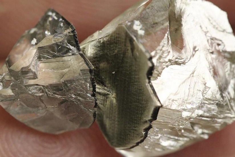 Por la mitad: las cosas habituales, cortadas en trozos