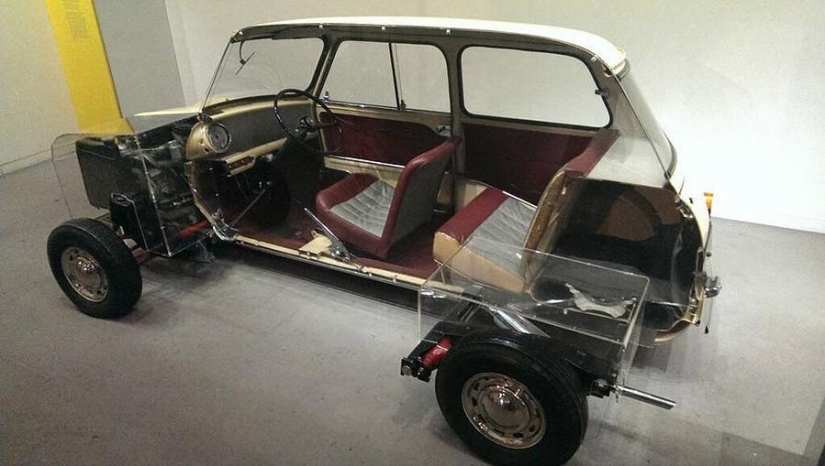 Por la mitad: las cosas habituales, cortadas en trozos