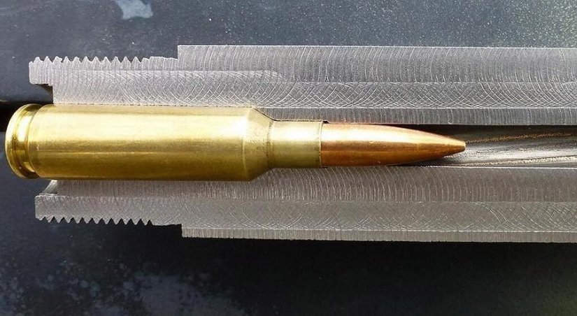 Por la mitad: las cosas habituales, cortadas en trozos