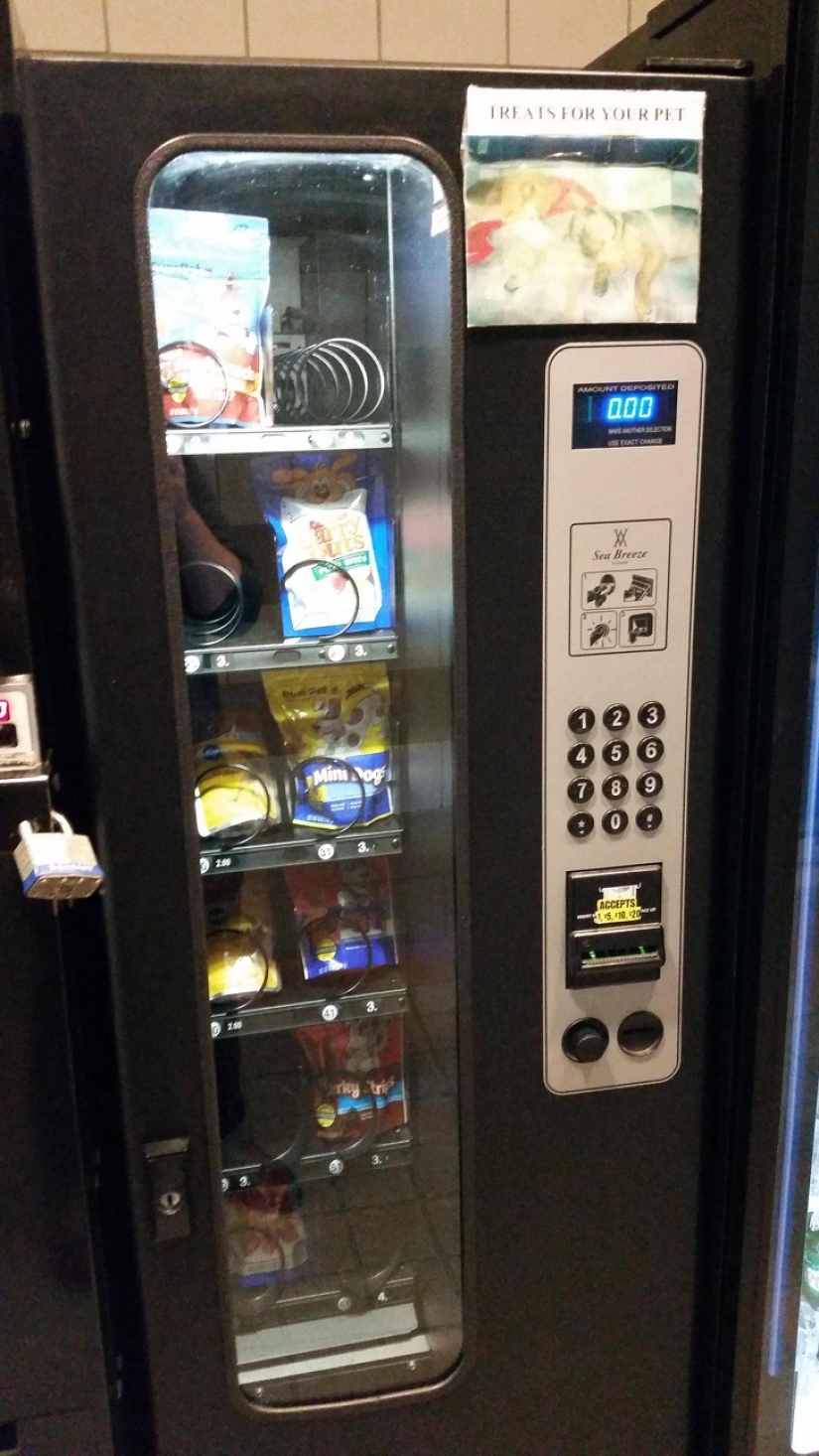 Por lo que estamos muy agradecidos con los diseñadores.