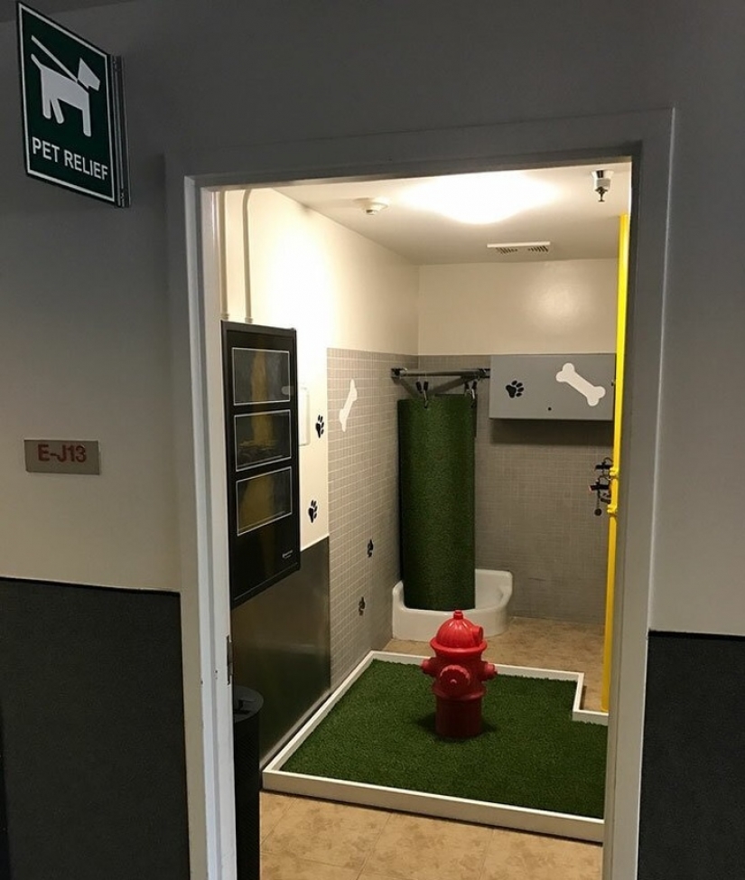 Por lo que estamos muy agradecidos con los diseñadores.