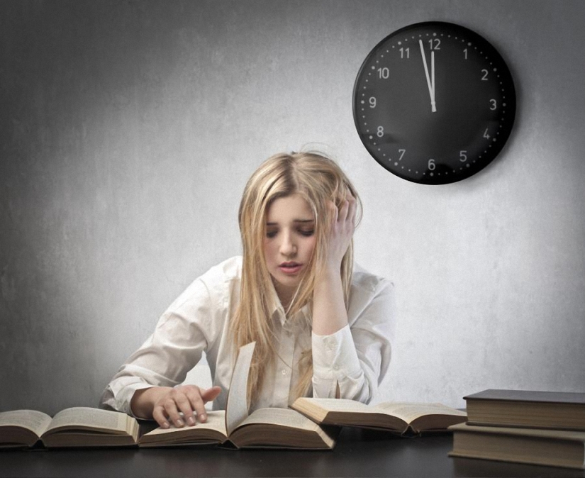 ¿Por qué las zanahorias se convirtieron en fruta?