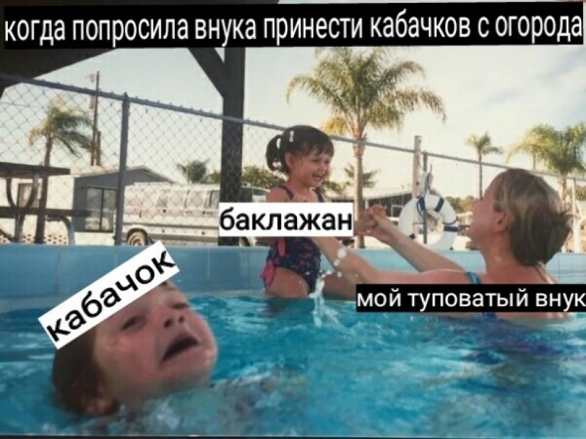 Prices, a stupid grandson and onion husks: memes for pensioners appeared on the network Prices, a stupid grandson and onion husks: memes for pensioners appeared on the network