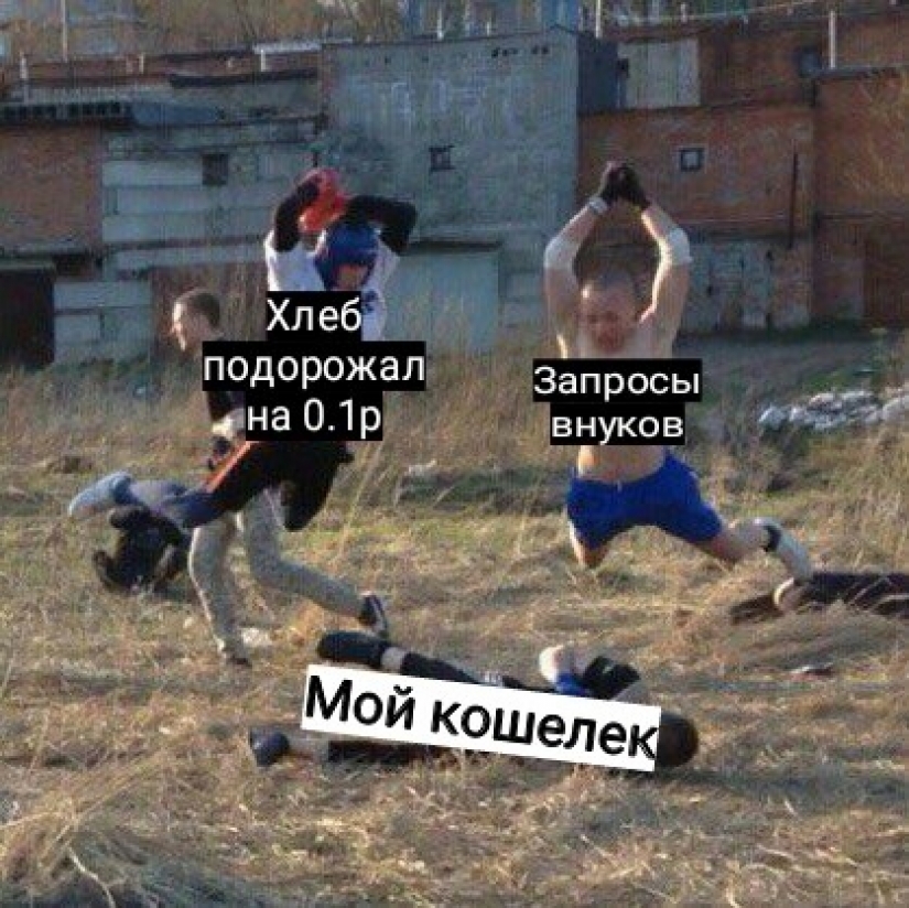 Prices, a stupid grandson and onion husks: memes for pensioners appeared on the network Prices, a stupid grandson and onion husks: memes for pensioners appeared on the network