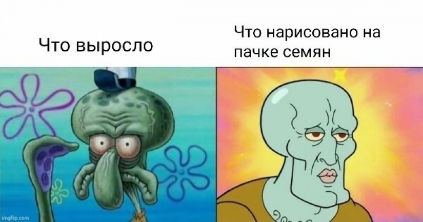 Prices, a stupid grandson and onion husks: memes for pensioners appeared on the network Prices, a stupid grandson and onion husks: memes for pensioners appeared on the network