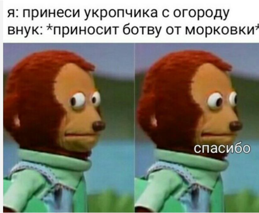 Prices, a stupid grandson and onion husks: memes for pensioners appeared on the network Prices, a stupid grandson and onion husks: memes for pensioners appeared on the network