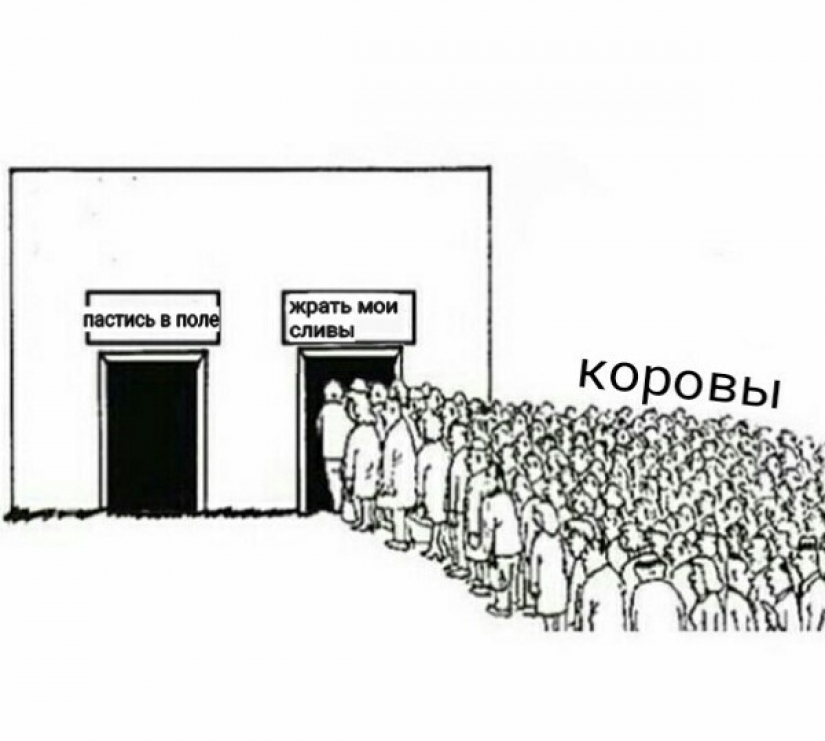 Prices, a stupid grandson and onion husks: memes for pensioners appeared on the network Prices, a stupid grandson and onion husks: memes for pensioners appeared on the network