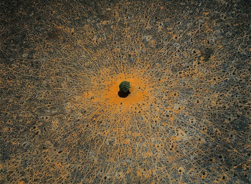 Proyecto fotográfico legendario "La Tierra vista desde el cielo" Parte 2