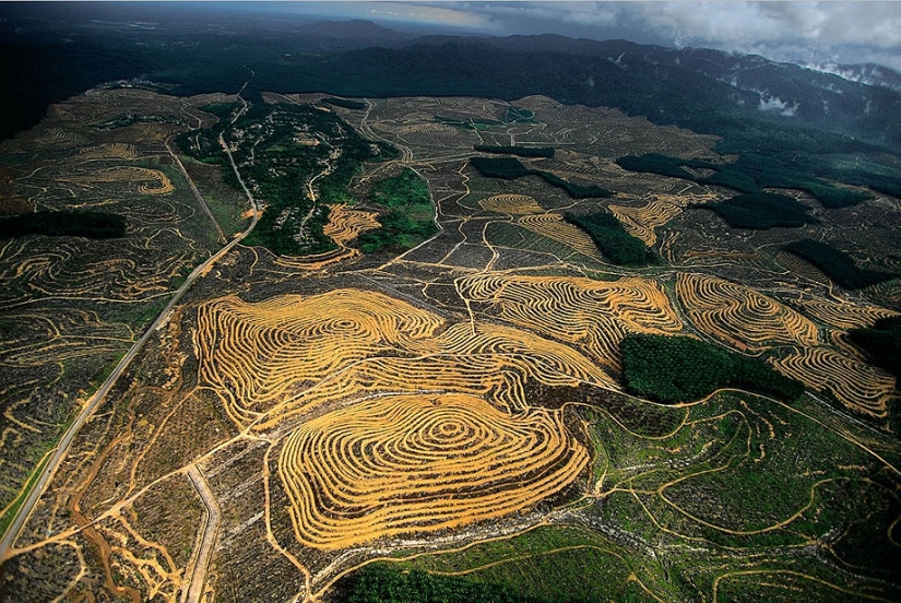 Proyecto fotográfico legendario "La Tierra vista desde el cielo" Parte 2
