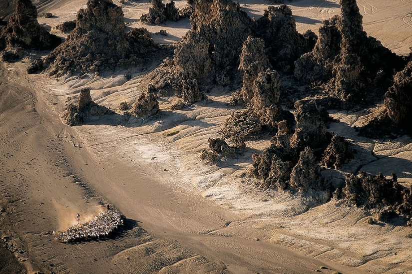 Proyecto fotográfico legendario "La Tierra vista desde el cielo" Parte 2
