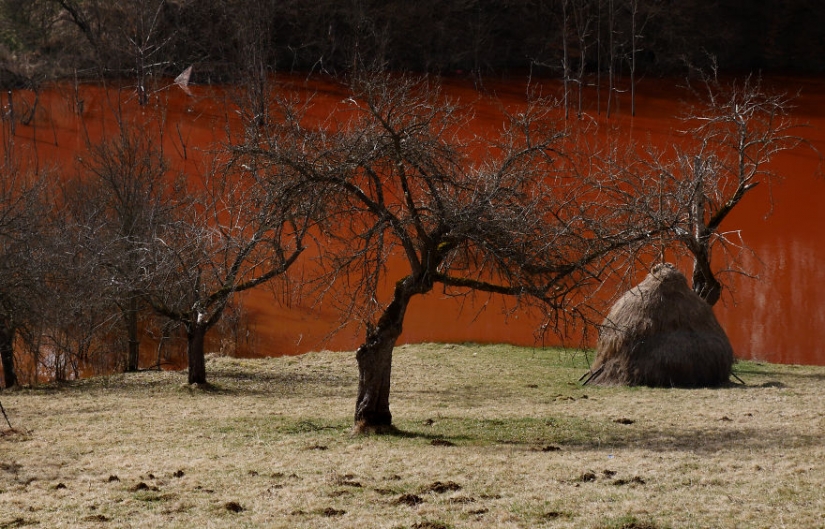Pueblo rumano de Jamana se ahoga en el lago de residuos industriales