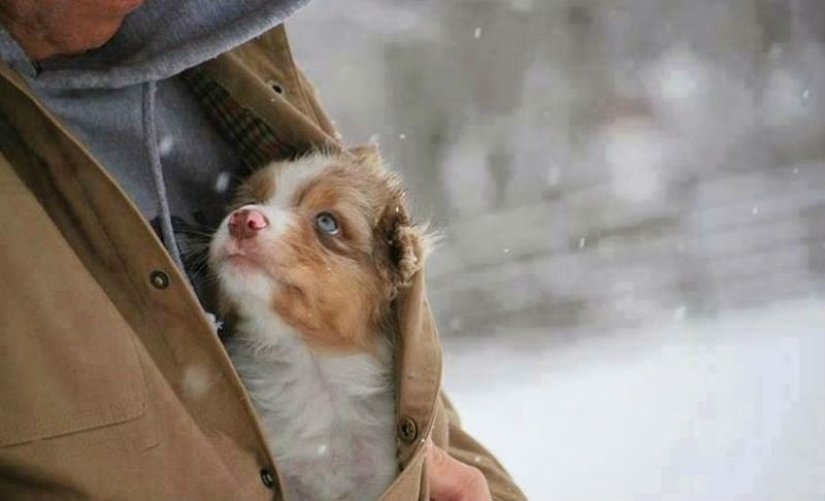 Que Dios me ayude a ser el tipo de persona que mi perro cree que soy