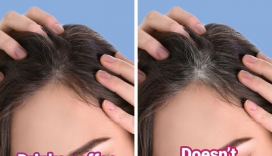 ¿Qué le pasa a tu cabello cuando cortas el café? ¿Qué le pasa a tu cabello cuando cortas el café?