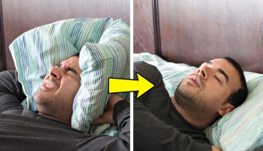 ¿Qué le pasa a tu cuerpo si comes 4 anacardos al día? ¿Qué le pasa a tu cuerpo si comes 4 anacardos al día?