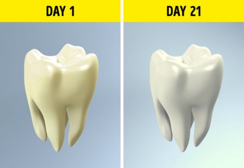 ¿Qué le sucede a su cuerpo cuando no bebe alcohol?